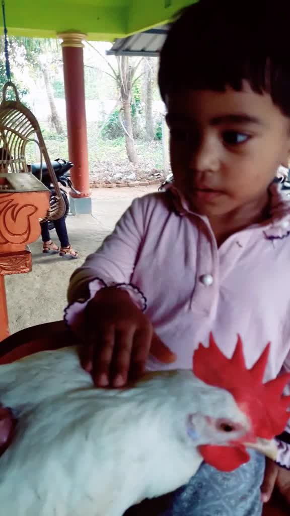 @Shami Shahi