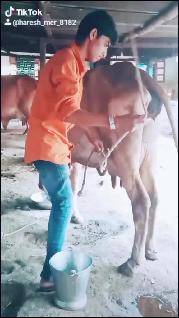 @Haresh 🌟Bharwad🌟