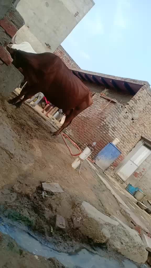 @Parvesh Nagar