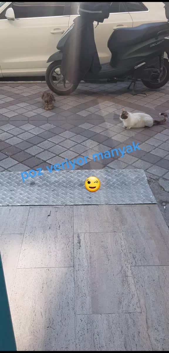 @Gizem G&uuml;l