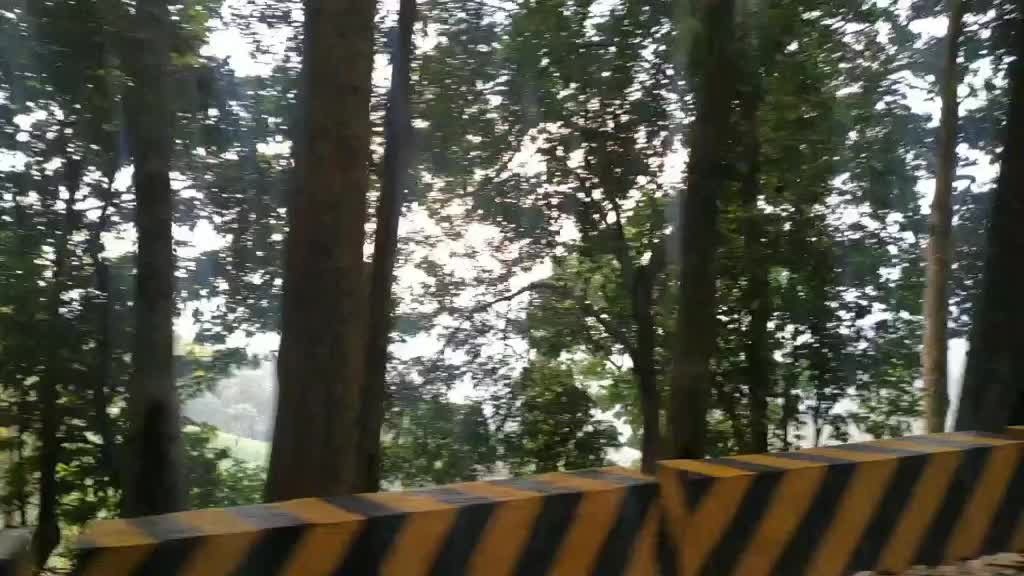 @_future_entertainer_