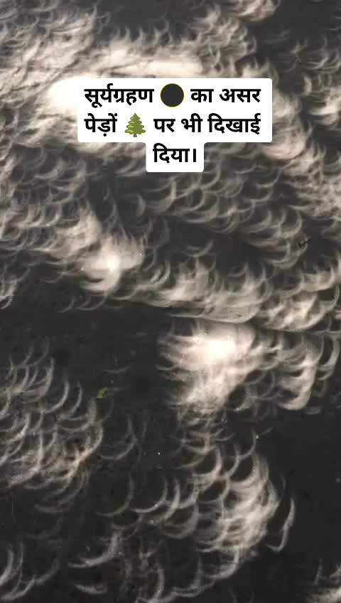 @Bharti Gunshay
