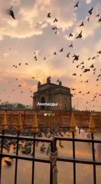 @𝓐𝓵𝓮𝓮𝓷𝓪 𝓲𝓺𝓫𝓪𝓵⋆🦋༘⋆