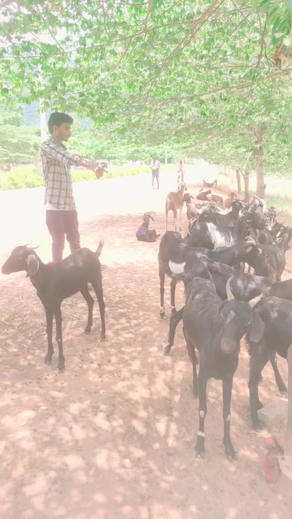 @Naidu kumar