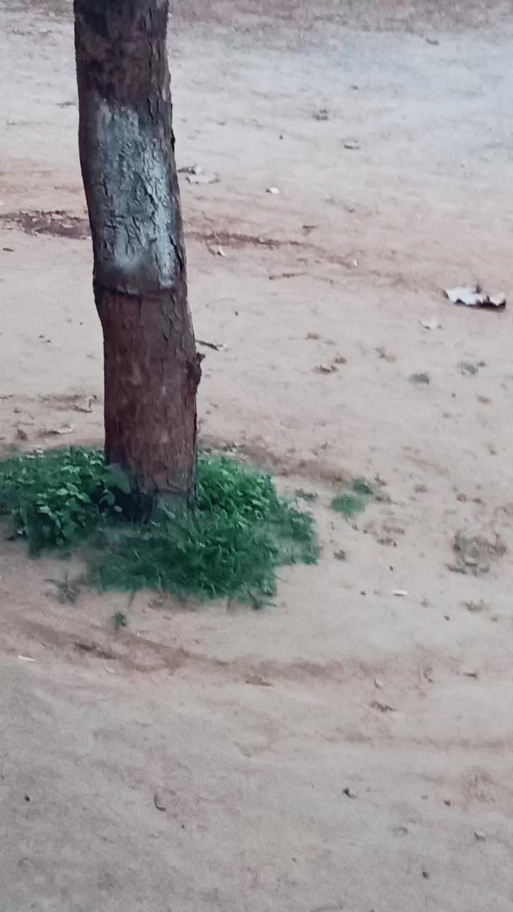 @aaru mansuri