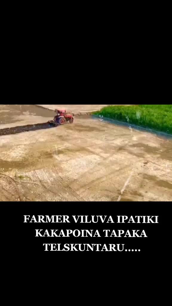 @@ongole_pillagadu