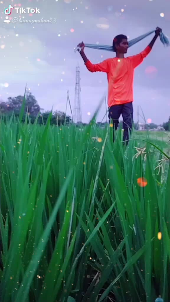 @bunnymohan23