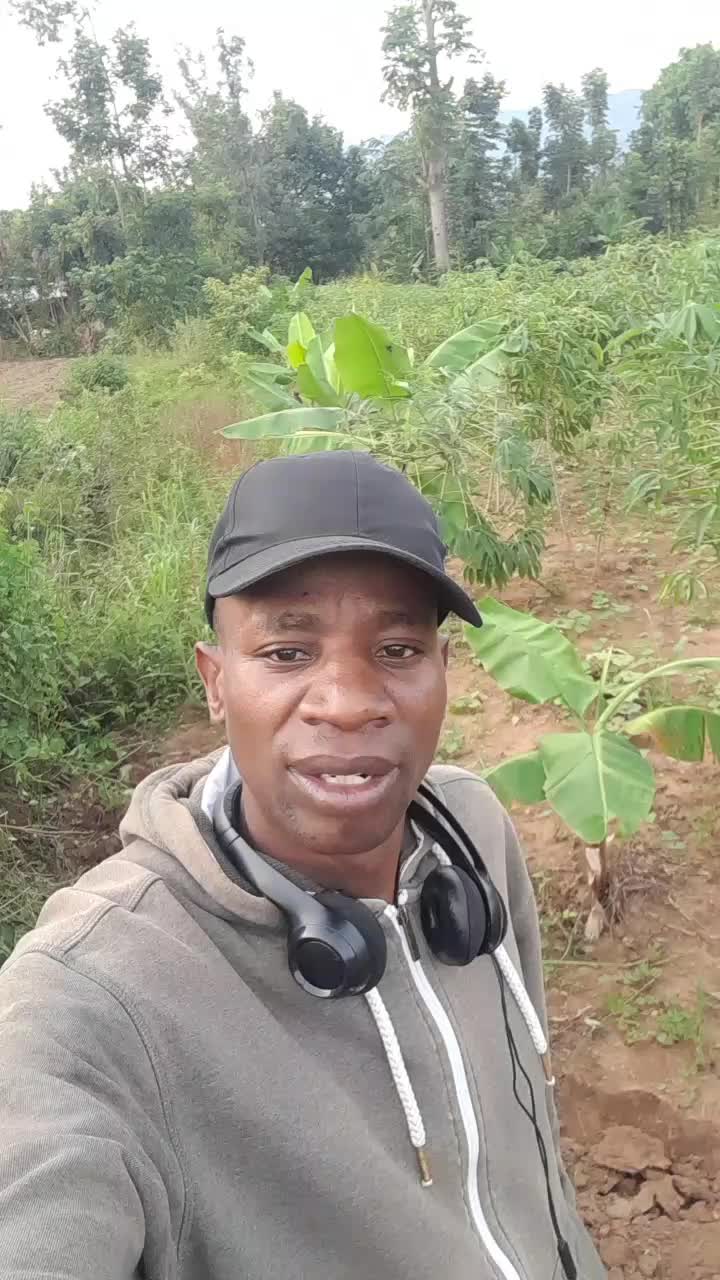 @Wafula Wekesa Kennedy