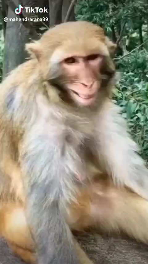 @Māñãv Řøghâ