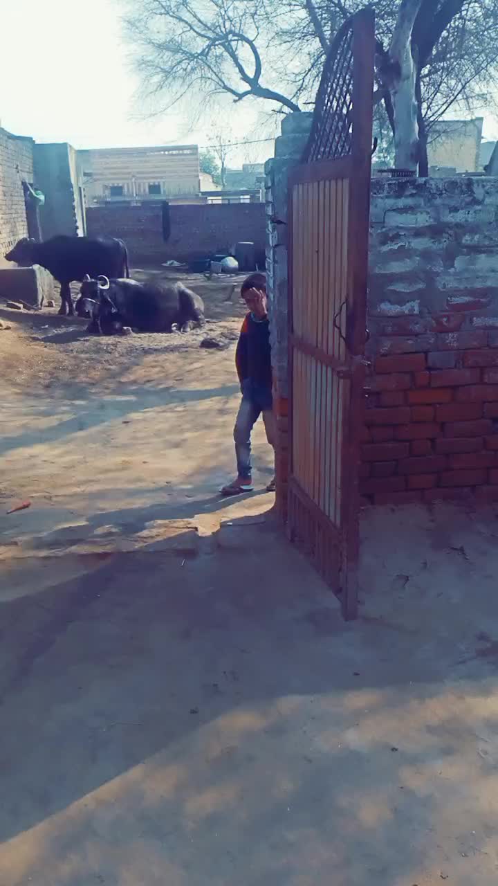 @user5073788121858
