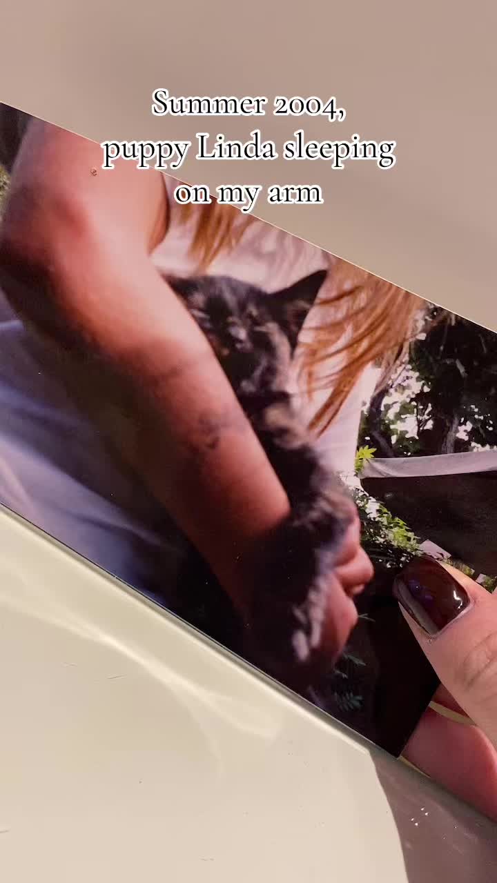 @Sara Fappani