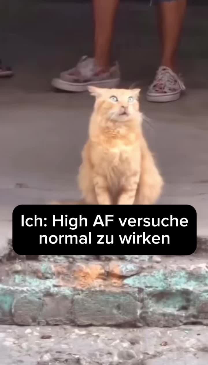@FunkJood