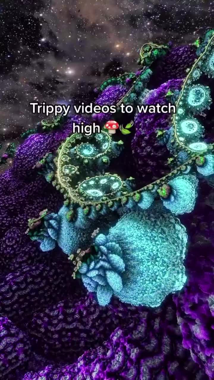 @StonerWRLD