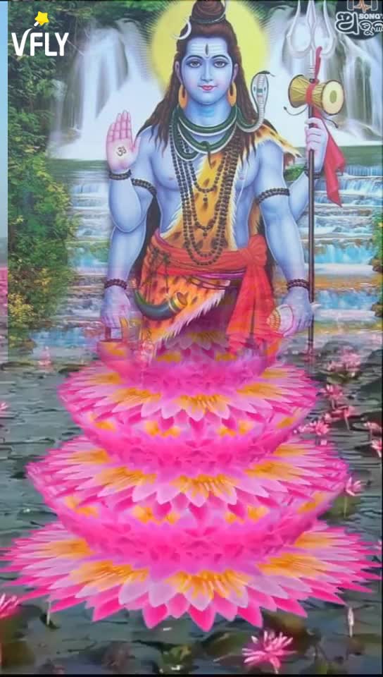 @user8717715753825