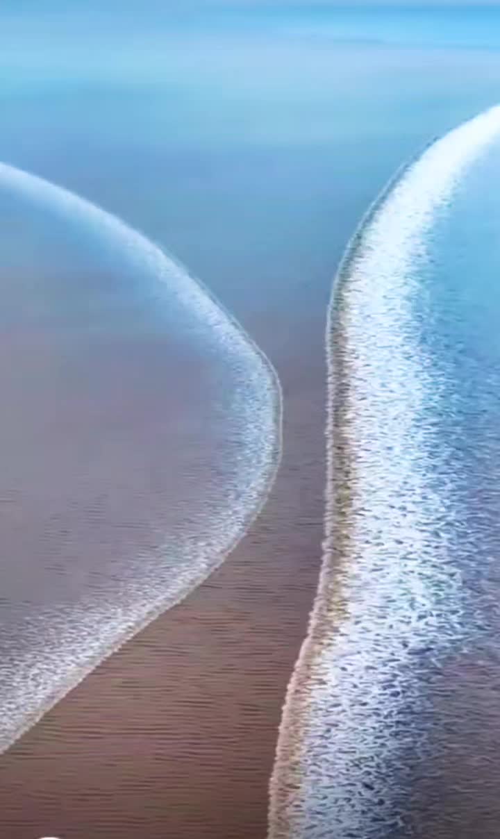 @🥷 𝙈𝙧 𝙎𝙖𝙧𝙥𝙖𝙧𝙖𝙝 🥷