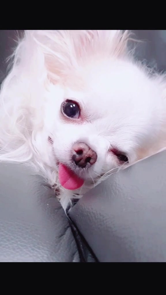 @๐์ธ์ธ์ฝ์ฝ_YouTube๐