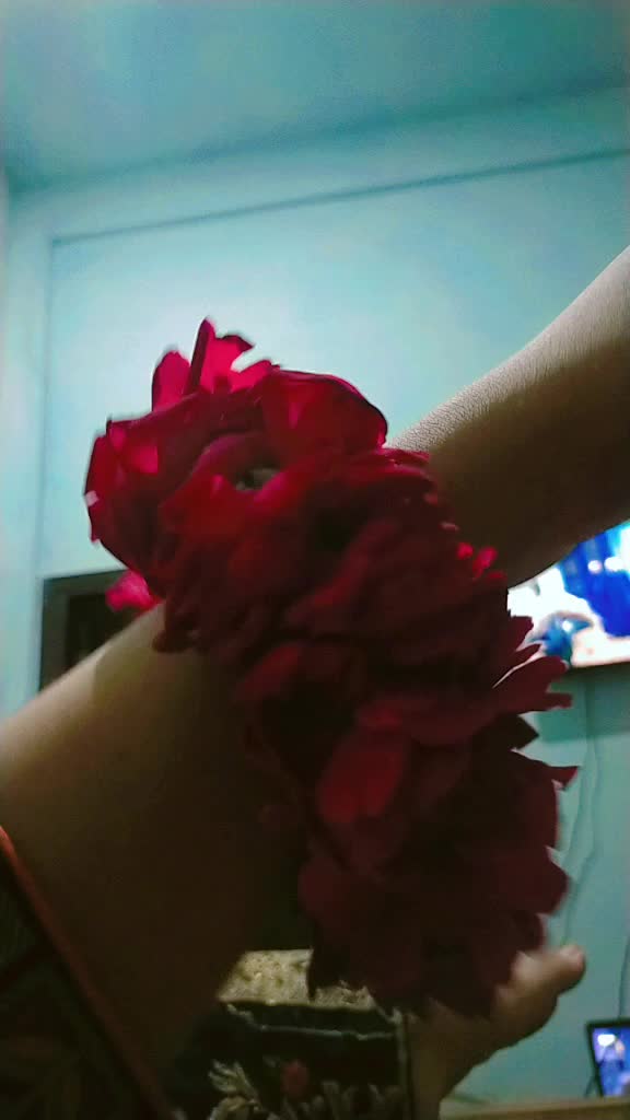 @humzaib