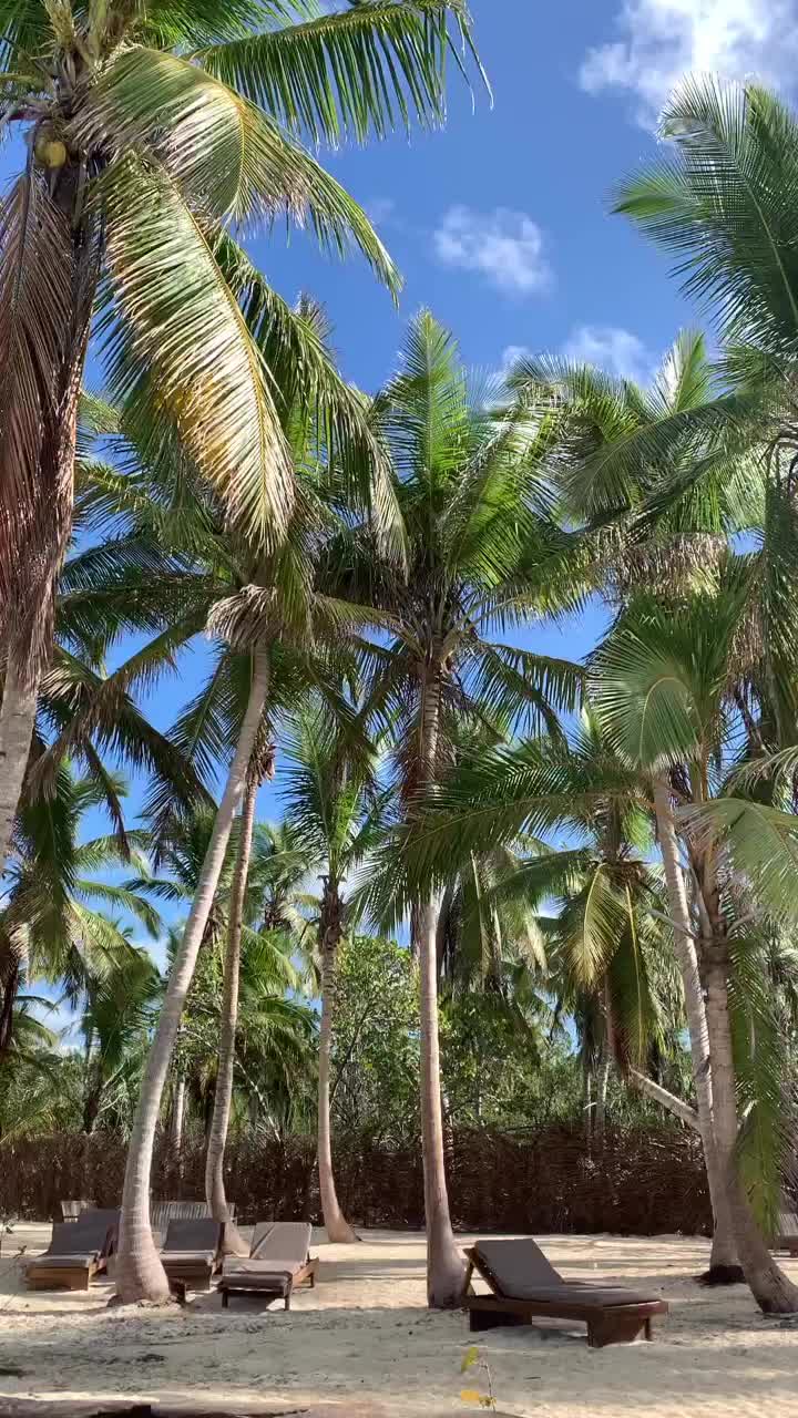 @valentinamartelli