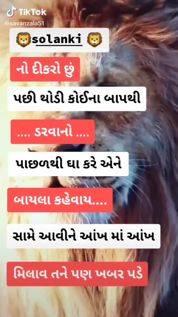 @yogash solanki