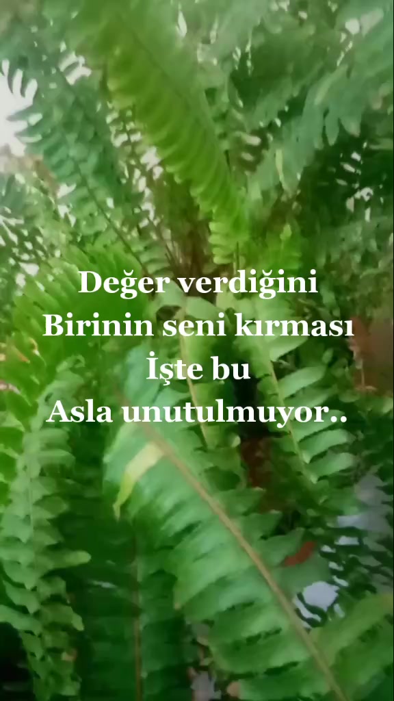 @Meryem G&ouml;z&uuml;b&uuml;y&uuml;k