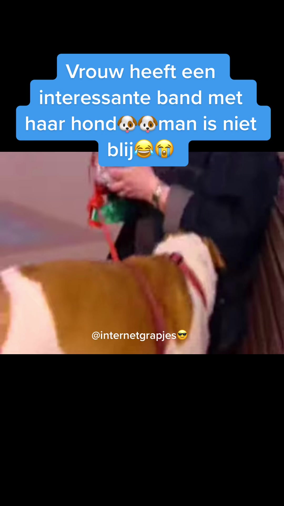 @internetgrapjes✓ ☻