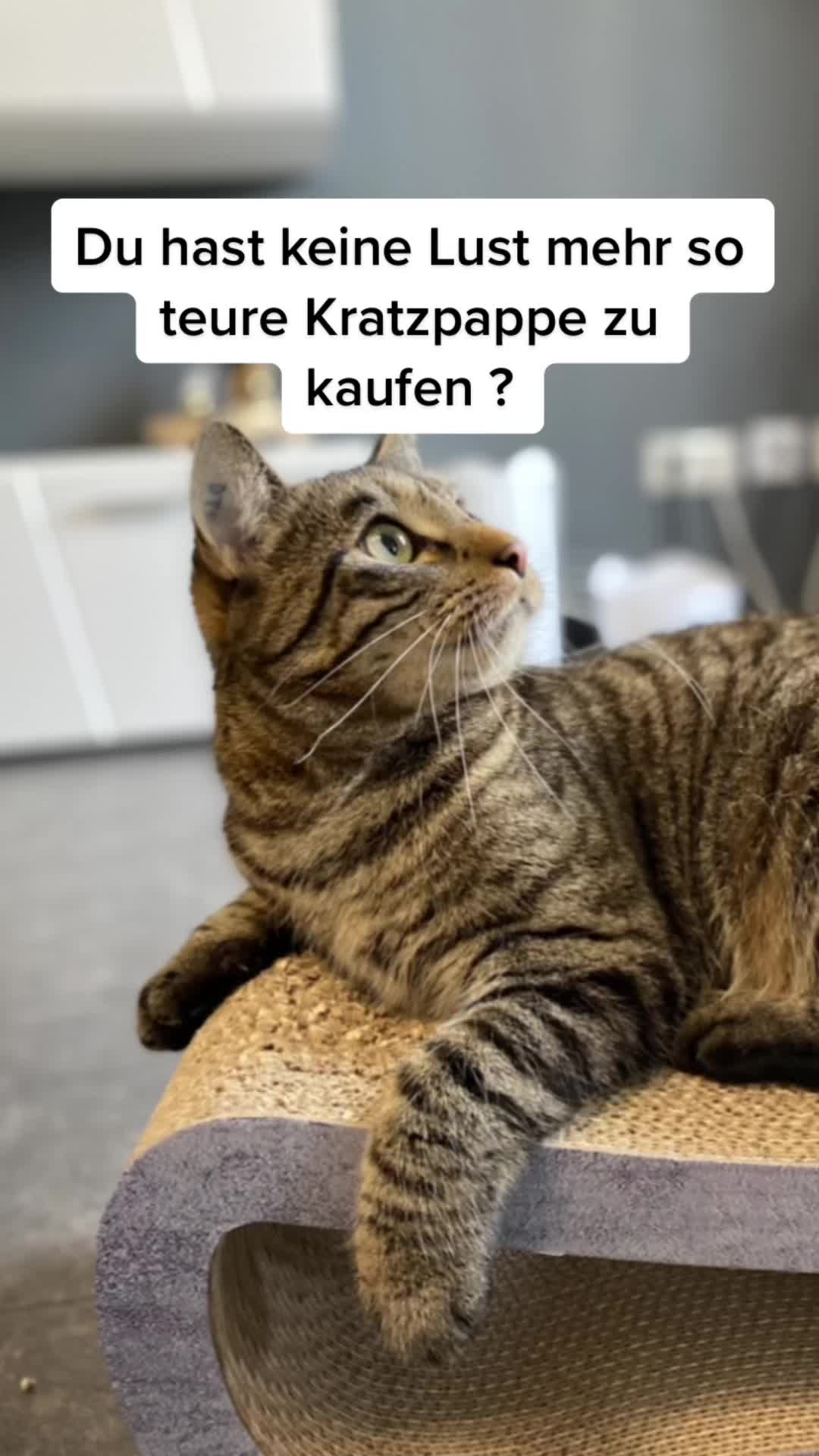 @Happykittycats_