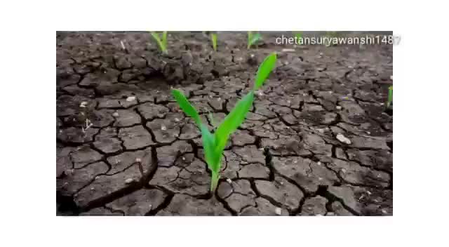 @🌱 MALI 🌾