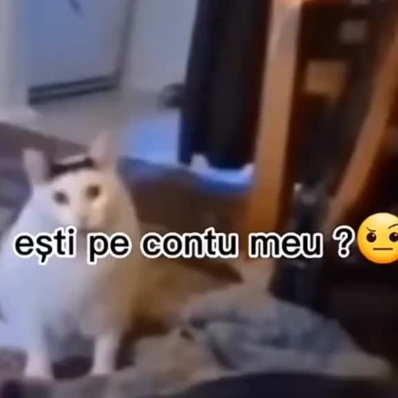 @Alex25 Yotube