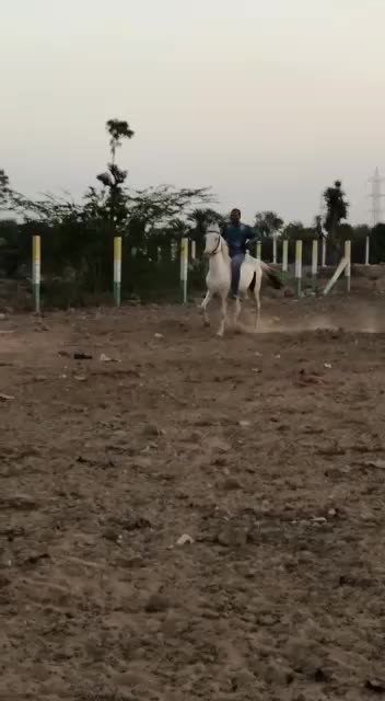 @Rahul Khaniya