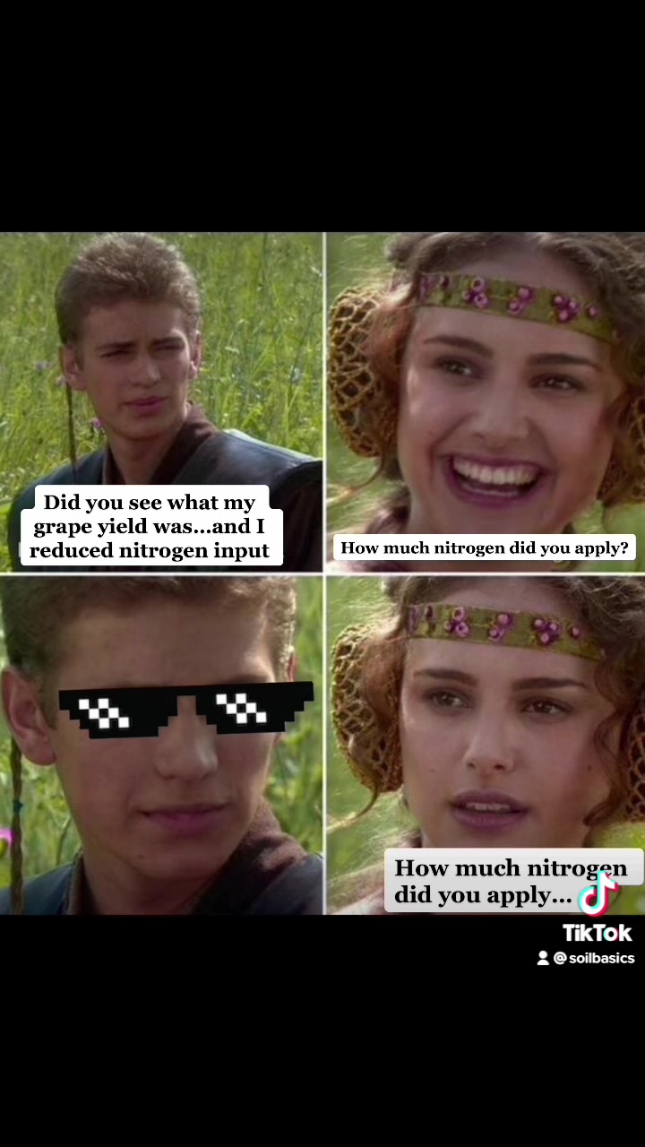 @soilbasics