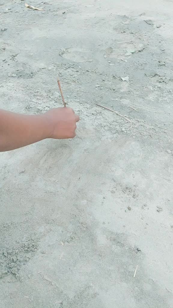 @sukhchain rai