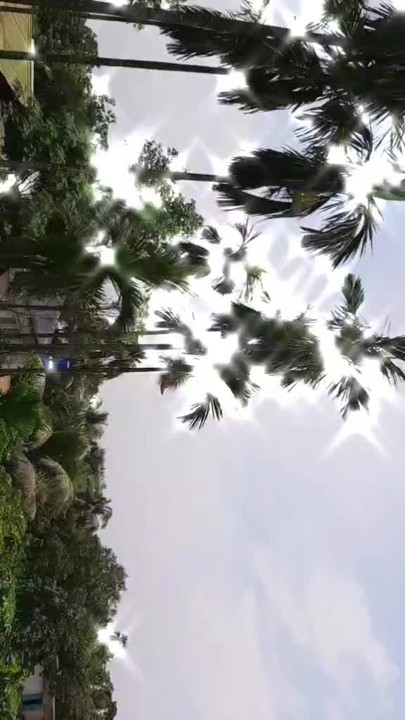 @sky