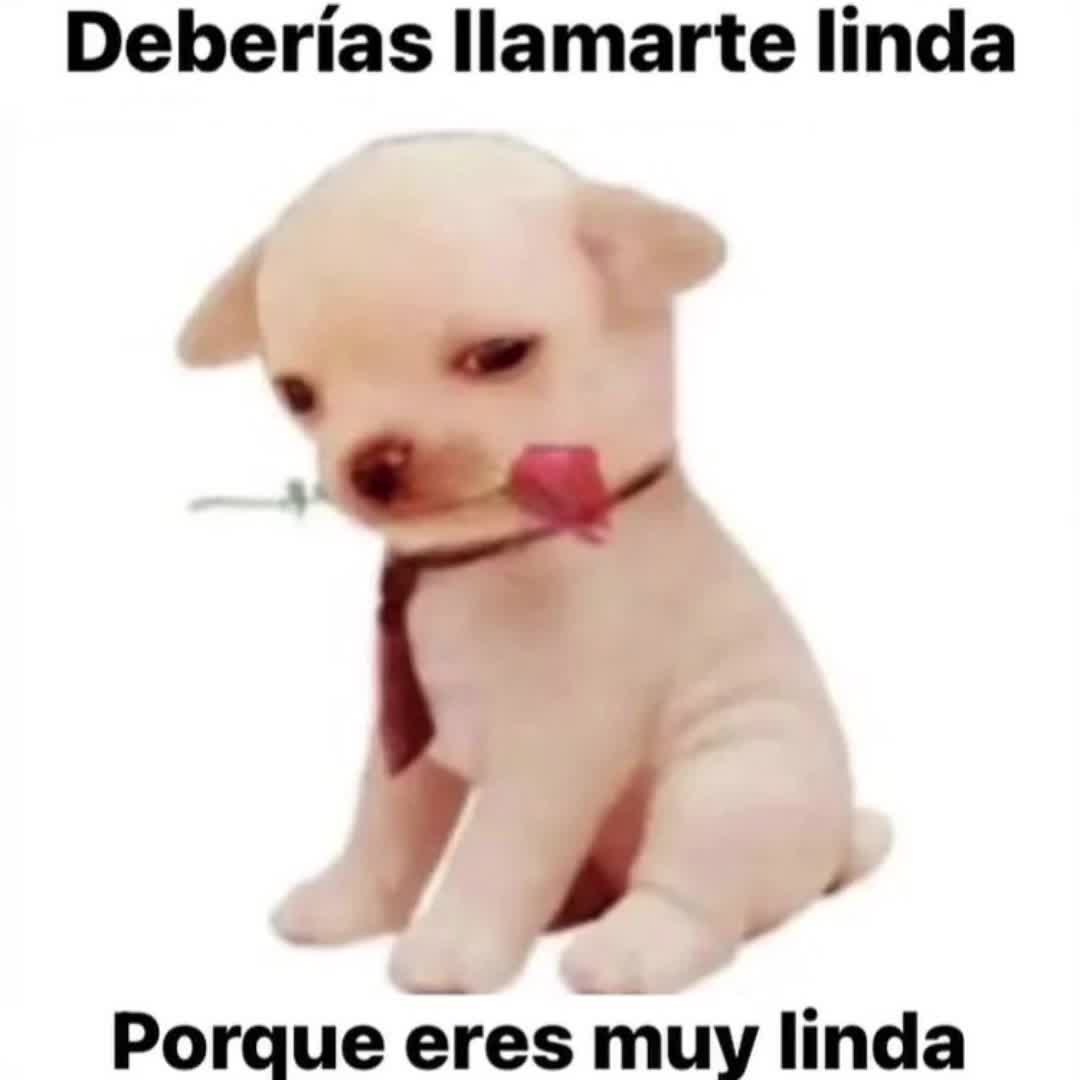 @milanesa