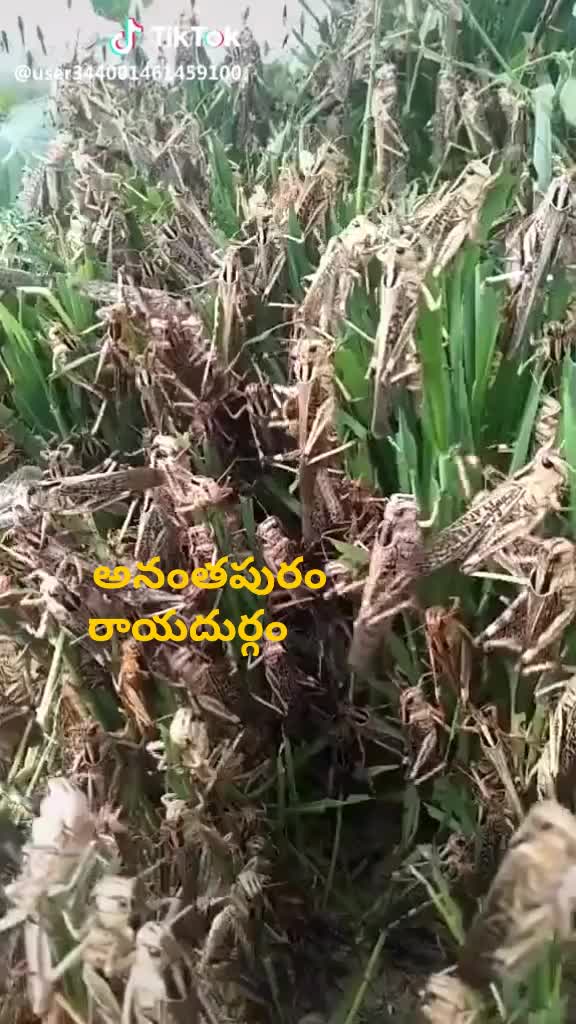 @hari9160242171