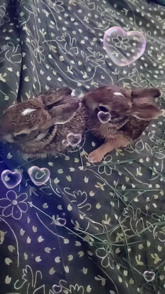 @Ayyappan Ayyappan