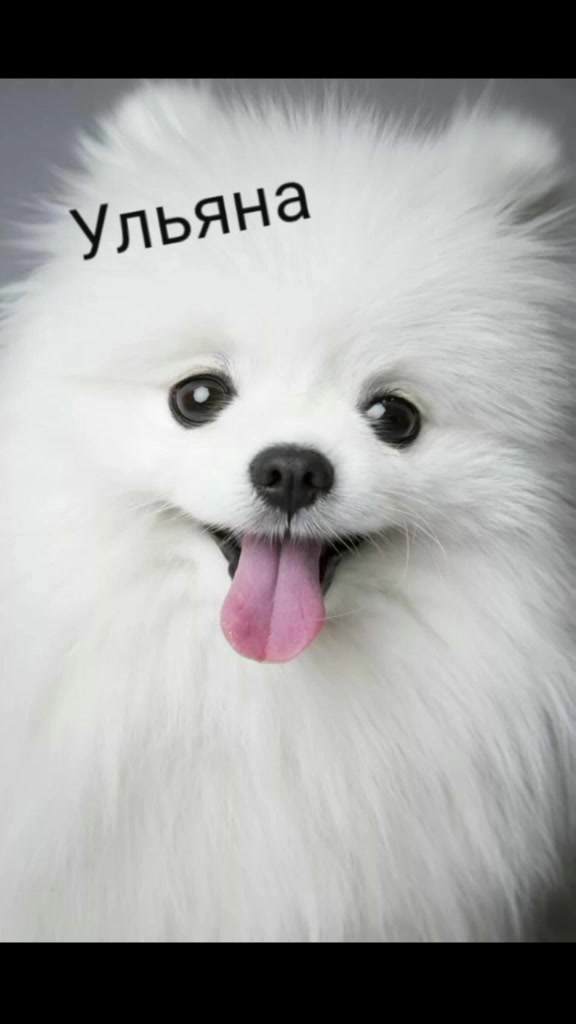 @Лузянина Алиса