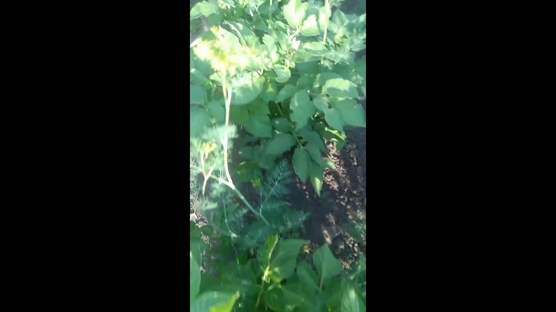 @Арсен