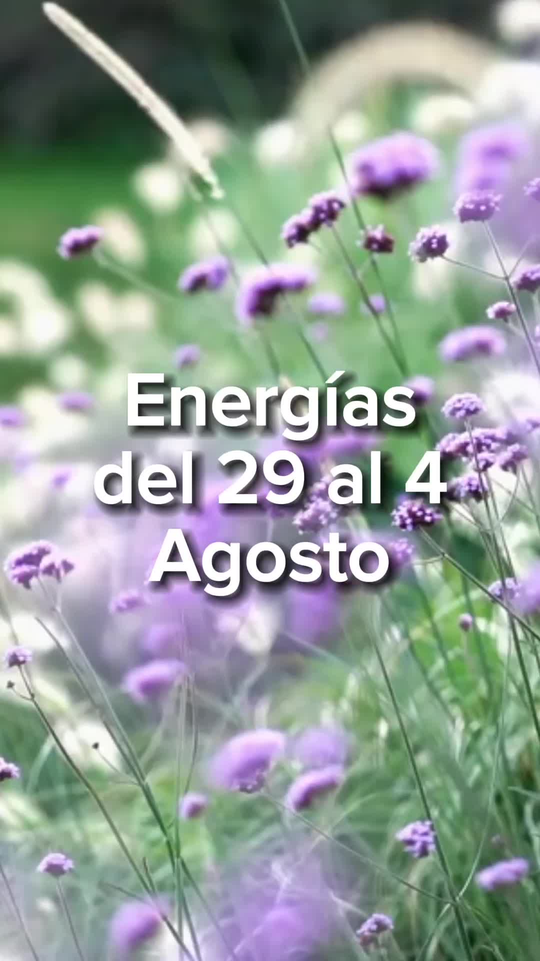 @numerosescenciales