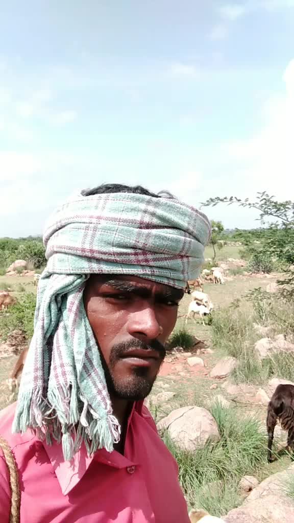 @user3090491047109