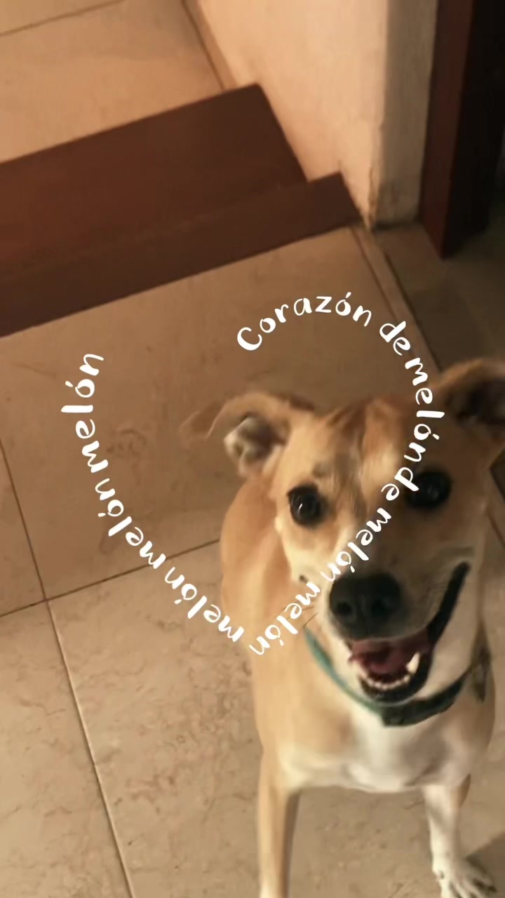 @Ale Madrazo