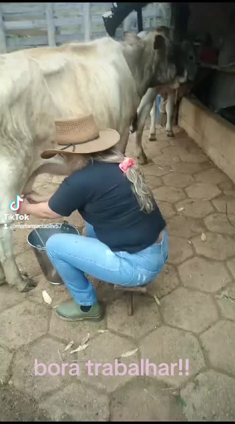 @mariamarciaoliv57