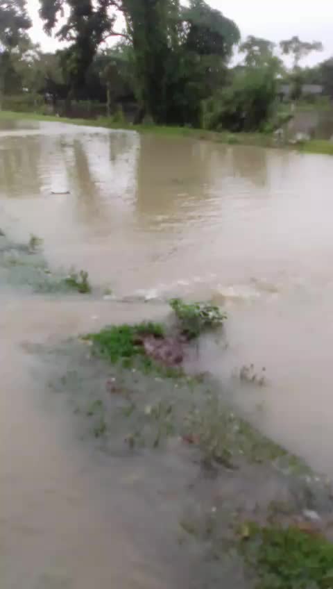 @trishna talukdar