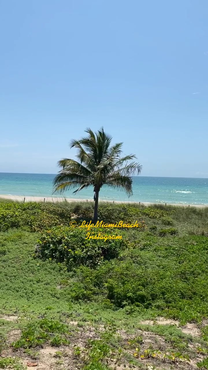 @Miami Beach Life