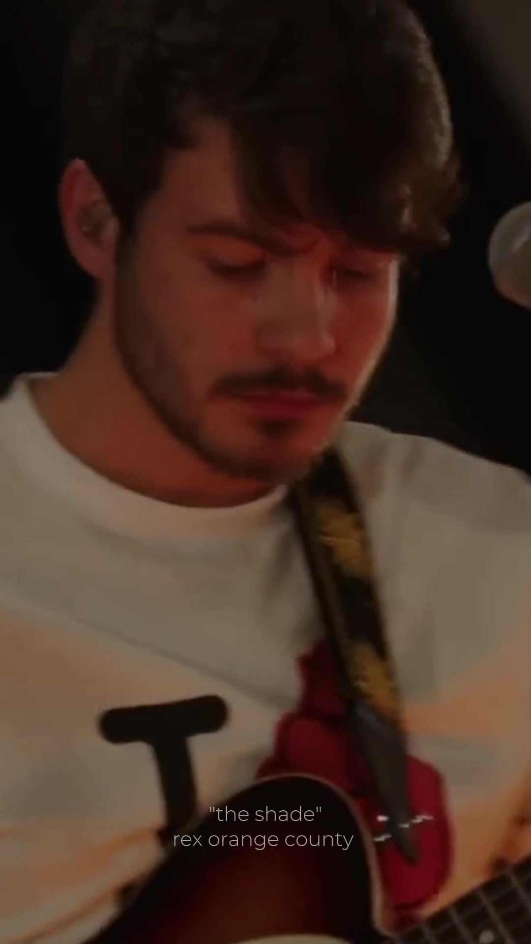 @rex 🦖