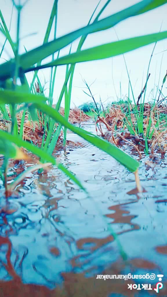 @Karunakar Gosangi