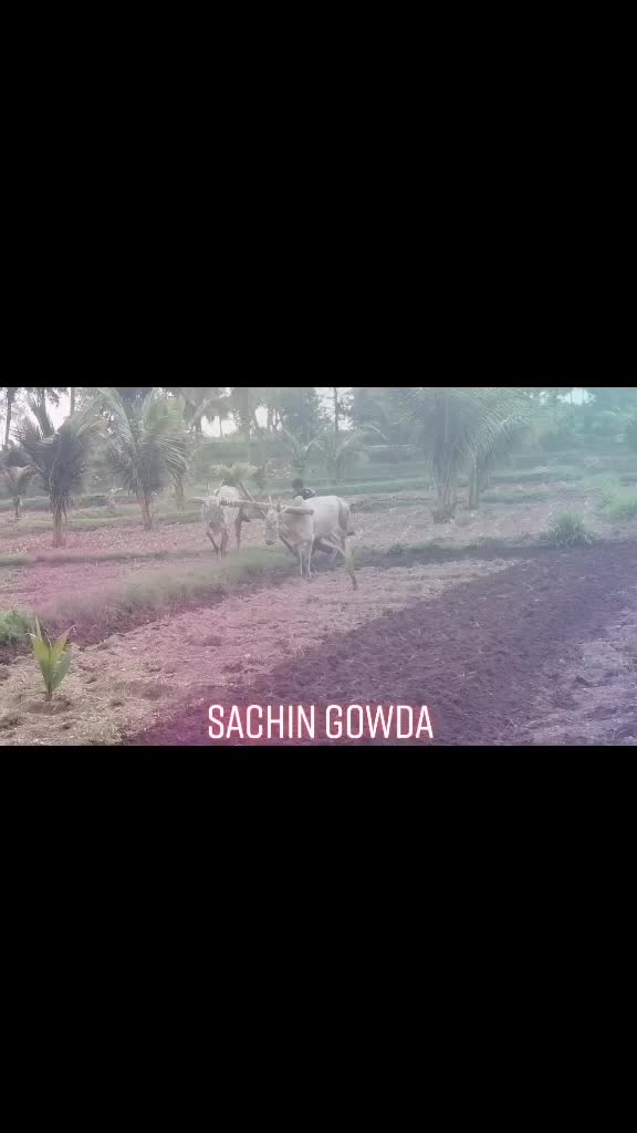 @🐂Sachin8453847757🐂
