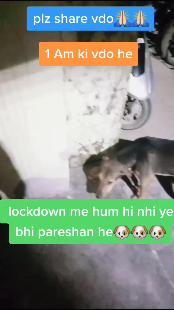 @Shubham chauhan