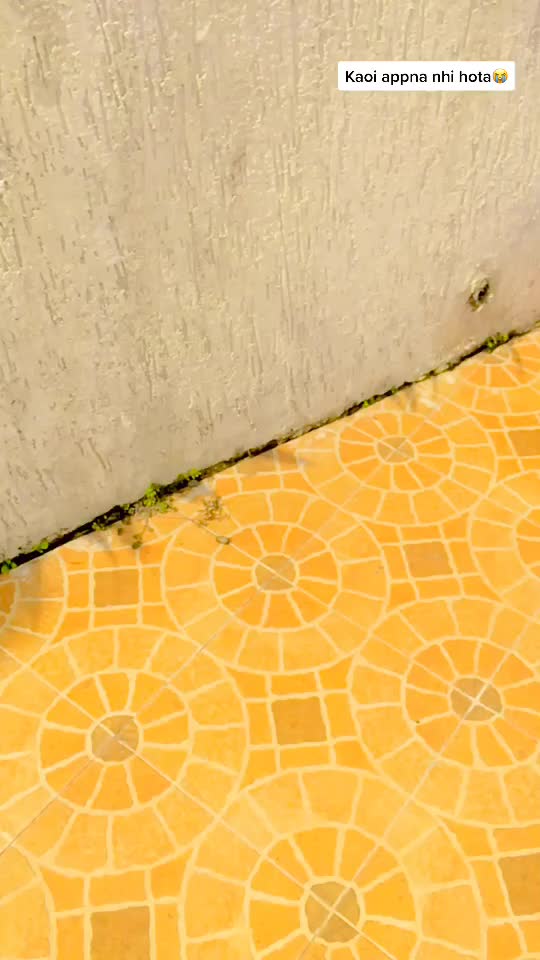 @⭐️ N_Ä_D_Ē_Ë_M ⭐️