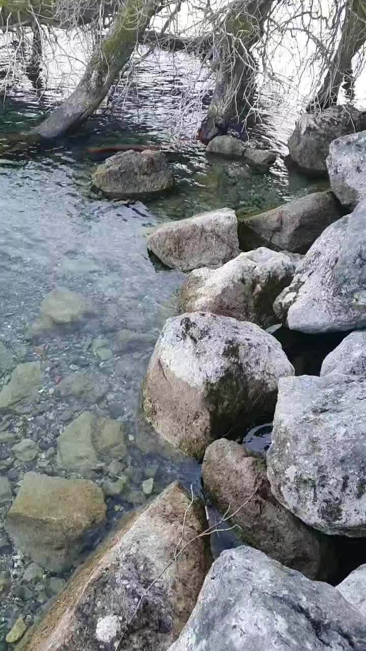 @Baghlol81
