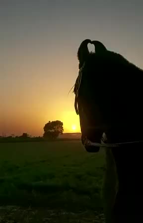 @GANPAT RAJPUROHIT